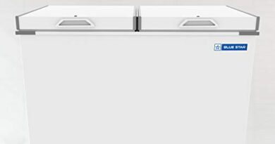 Blue Star CHF400 Double Door Deep Freezer (400 L, White)