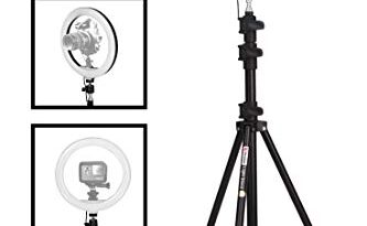 Prolite 10 inch LED Ring Light with 9 feet Light Stand & Mobile Holder | 3 Natural Color Modes | Brightness Control | for YouTube, Streaming, Makeup, Vlogging, Camera Photo/Video Shoot