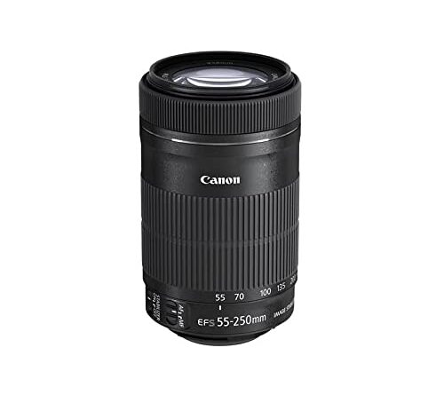 Canon EF-S 55-250mm f/4-5.6 is STM