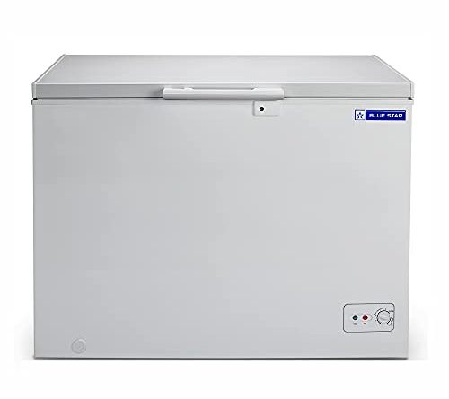 BLUE STAR CHFSD100FHSW Single Door Deep Freezer (100 Ltrs, White)