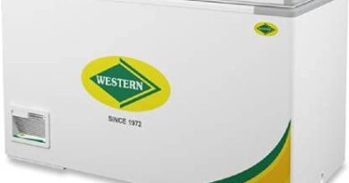 Western Hard Top Deep Freezer Double Door NWHD525H (546 Liters)