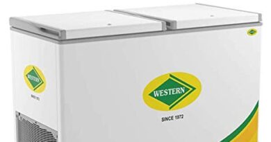 Western Deep Freezer Convertible NWHDA425H-HC