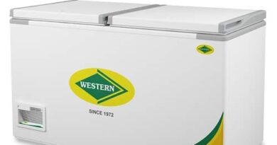 Western Deep Freezer NWHF 425H
