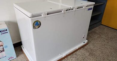 Blue Star CHF300 Double Door Deep Freezer (284 L, White)